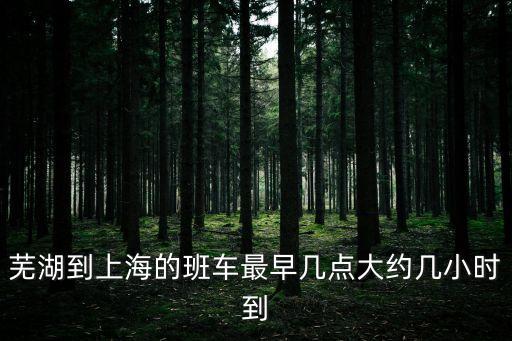 蕪湖到上海的班車最早幾點大約幾小時到