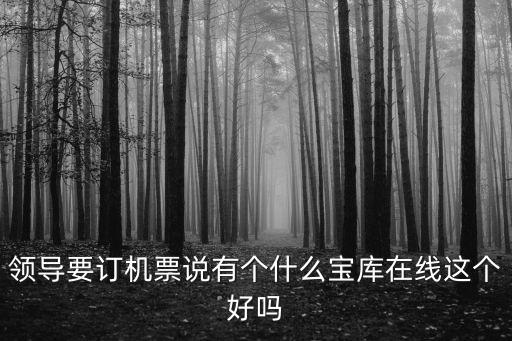 領(lǐng)導(dǎo)要訂機(jī)票說有個(gè)什么寶庫(kù)在線這個(gè)好嗎