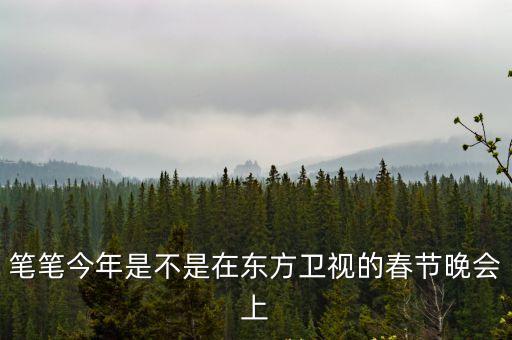 筆筆今年是不是在東方衛(wèi)視的春節(jié)晚會上