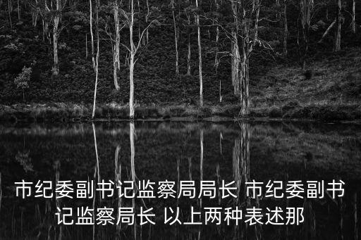 市紀委副書記監察局局長 市紀委副書記監察局長 以上兩種表述那