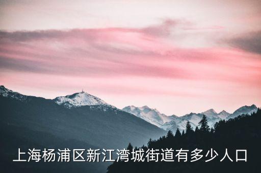 上海楊浦區新江灣城街道有多少人口