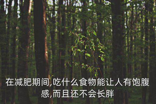 吃什么不發胖,主食吃什么不會胖又減肥?