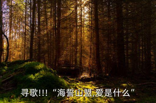 尋歌!!!“海誓山盟,愛是什么”