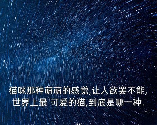 什么貓最可愛