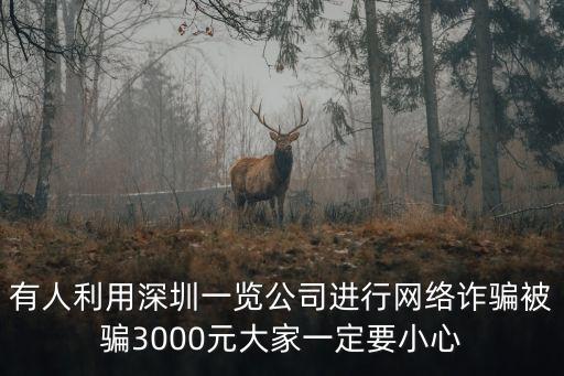深圳龍崗網絡詐騙案，龍崗分局在網絡被騙錢怎么報警