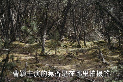 東莞寮步鎮莞香花園，曹穎主演的莞香是在哪里拍攝的