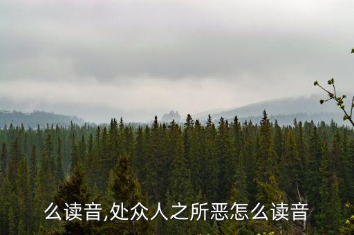 惡怎么讀音,處眾人之所惡怎么讀音