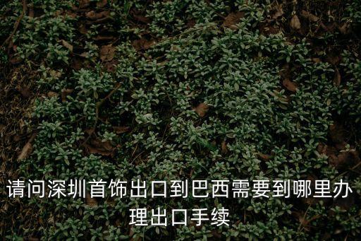 請問深圳首飾出口到巴西需要到哪里辦理出口手續(xù)