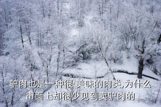 一種美味,關于美味佳肴