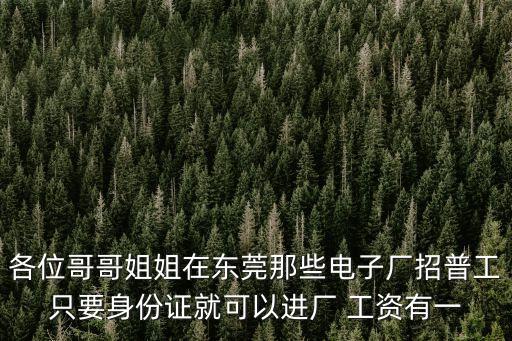 各位哥哥姐姐在東莞那些電子廠招普工只要身份證就可以進廠 工資有一