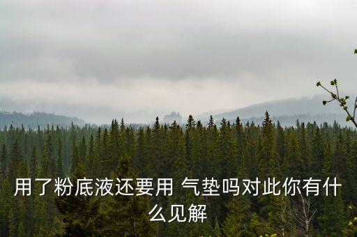 用了粉底液還要用 氣墊嗎對(duì)此你有什么見解