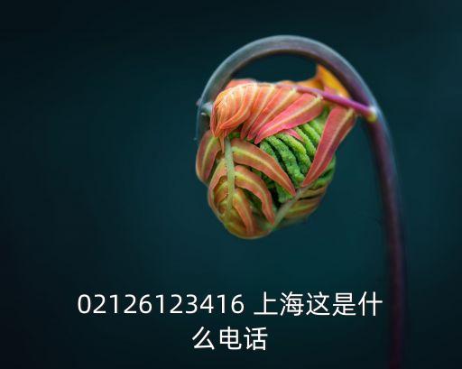 02126123416 上海這是什么電話