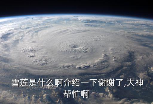  雪蓮是什么啊介紹一下謝謝了,大神幫忙啊
