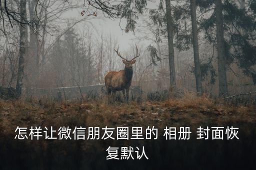 相冊封面圖片,如何設置微信相冊封面?看這里!