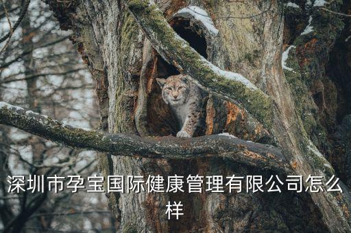 深圳市孕寶國際健康管理有限公司怎么樣