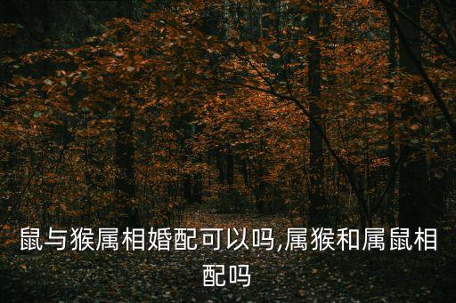 猴跟鼠合不合,屬猴和屬鼠合不合?一起來看看!