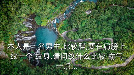 本人是一名男生,比較胖,要在肩膀上紋一個 紋身,請問紋什么比較 霸氣一點...