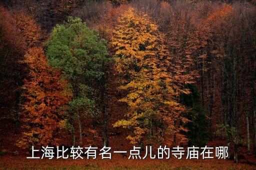 上海比較有名一點兒的寺廟在哪