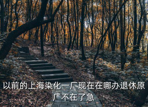 以前的上海染化一廠現在在哪辦退休原廠不在了急