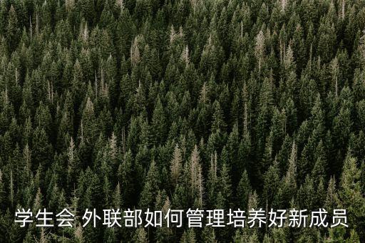 外聯(lián)部工作計劃,制定年度工作計劃范文怎么寫