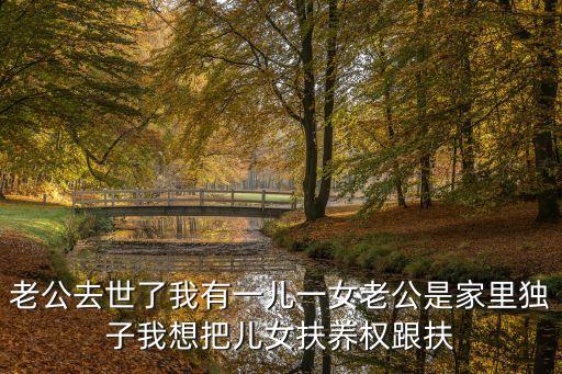 老公去世了我有一兒一女老公是家里獨(dú)子我想把兒女扶養(yǎng)權(quán)跟扶