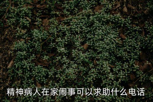 精神病人在家鬧事可以求助什么電話