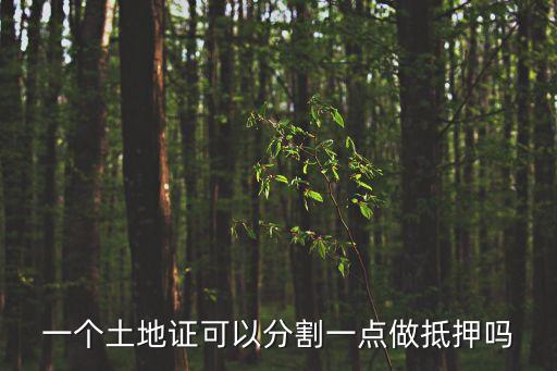 深圳土地分割抵押，深圳房產證上面注明5年內不得出售在國土局能不能做抵押