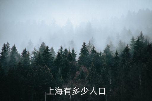 上海有多少人口