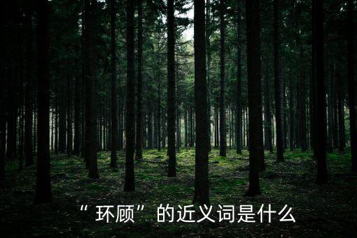 “ 環(huán)顧”的近義詞是什么