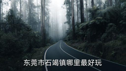 東莞石碣鎮哪里有好玩的，東莞市石竭鎮哪里最好玩