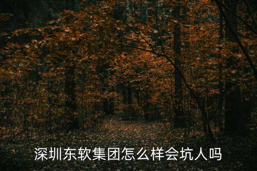 東軟集團深圳分公司，深圳東軟的普通銷售月薪大概是多少 待遇怎么樣