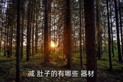 減肚子的健身器材,晨光|潮流解碼:健身房四件事你必須知道