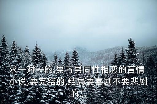 求一對(duì)一的,男與男同性相戀的言情 小說(shuō),要完結(jié)的,結(jié)局要喜劇不要悲劇的...