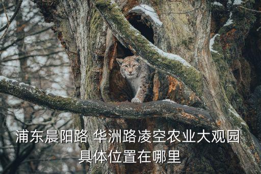 上海市農業科普館，請問上海農展館在哪里有什么車可以去那里