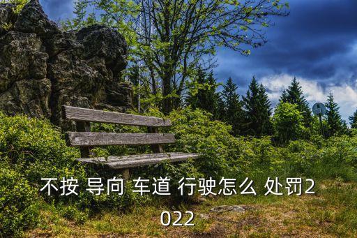 未按導向車道行駛如何處罰,新交規未按導向車道行駛如何處罰
