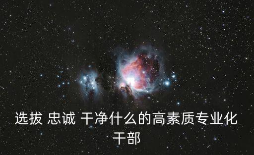 忠誠(chéng)干凈擔(dān)當(dāng)