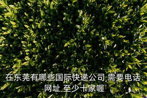東莞到坦桑尼亞dhl快遞公司，請(qǐng)問(wèn)哪個(gè)快遞公司可以到馬來(lái)西亞