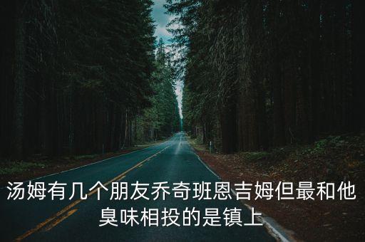 深圳城投青蓮公寓圖片，深圳城投在合肥開發的樓盤名字