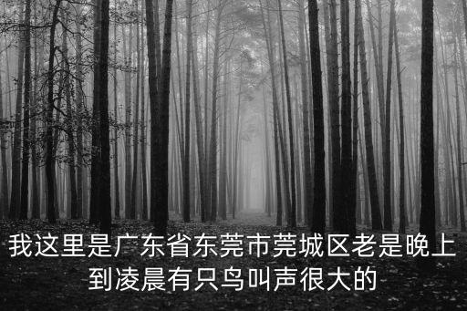 東莞市鎮區早上可以鳴笛嗎，我這里是廣東省東莞市莞城區老是晚上到凌晨有只鳥叫聲很大的