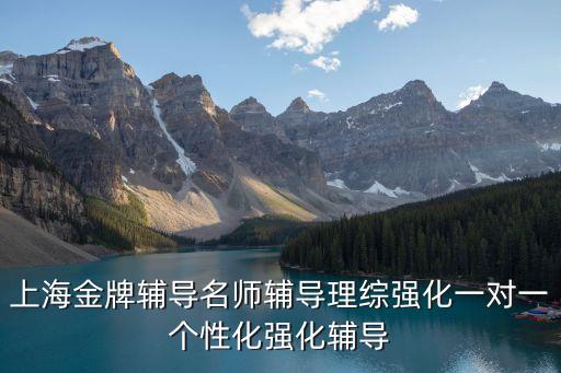 上海市名師培訓方案，上海金牌輔導名師輔導理綜強化一對一個性化強化輔導