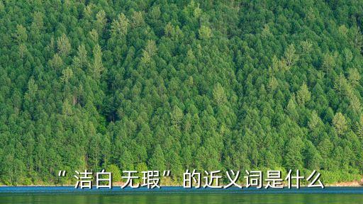 “ 潔白 無瑕”的近義詞是什么