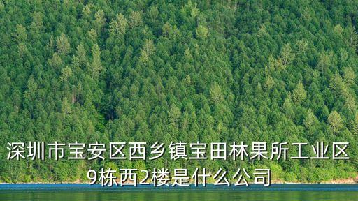 深圳市寶安區(qū)西鄉(xiāng)鎮(zhèn)寶田林果所工業(yè)區(qū)9棟西2樓是什么公司