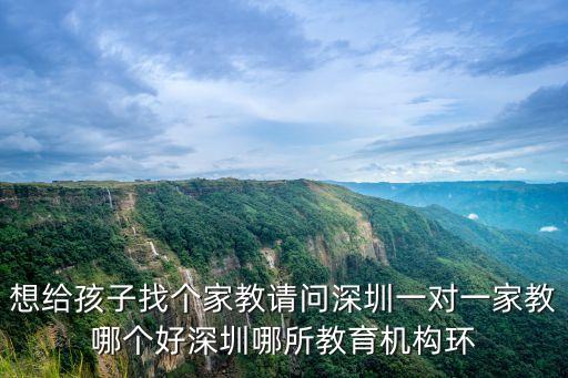 深圳比邦教育，想給孩子找個家教請問深圳一對一家教哪個好深圳哪所教育機構(gòu)環(huán)