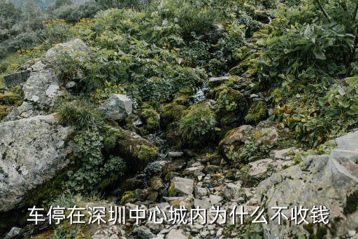 深圳深業上城停車開始收費了嗎，深圳 停車超過24小時如何收費