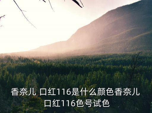 香奈兒 口紅116是什么顏色香奈兒 口紅116色號試色