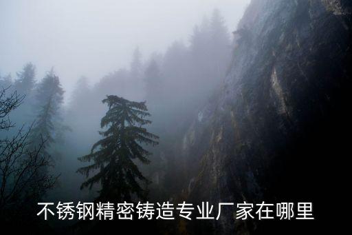 東莞市304精密鑄造，我們是精密鑄造希望可以和你合作