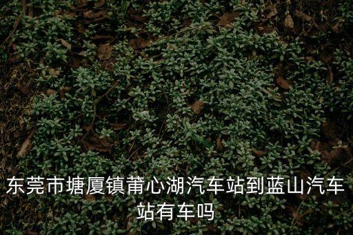 東莞市塘廈鎮莆心湖汽車站到藍山汽車站有車嗎