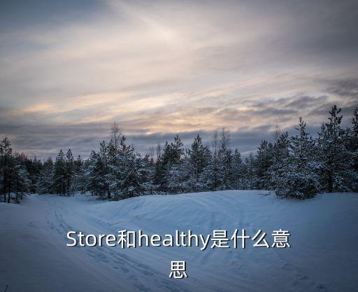 store什么意思