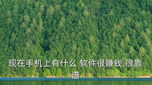 現在手機上有什么 軟件很賺錢,很靠譜