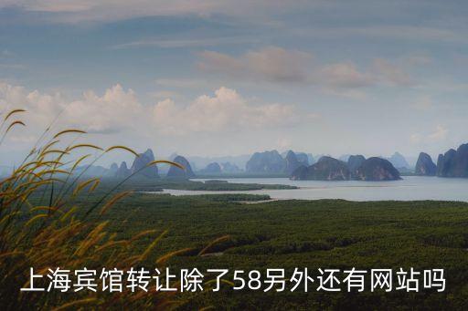 上海賓館轉(zhuǎn)讓除了58另外還有網(wǎng)站嗎